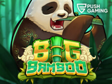 Bet jungle casino13